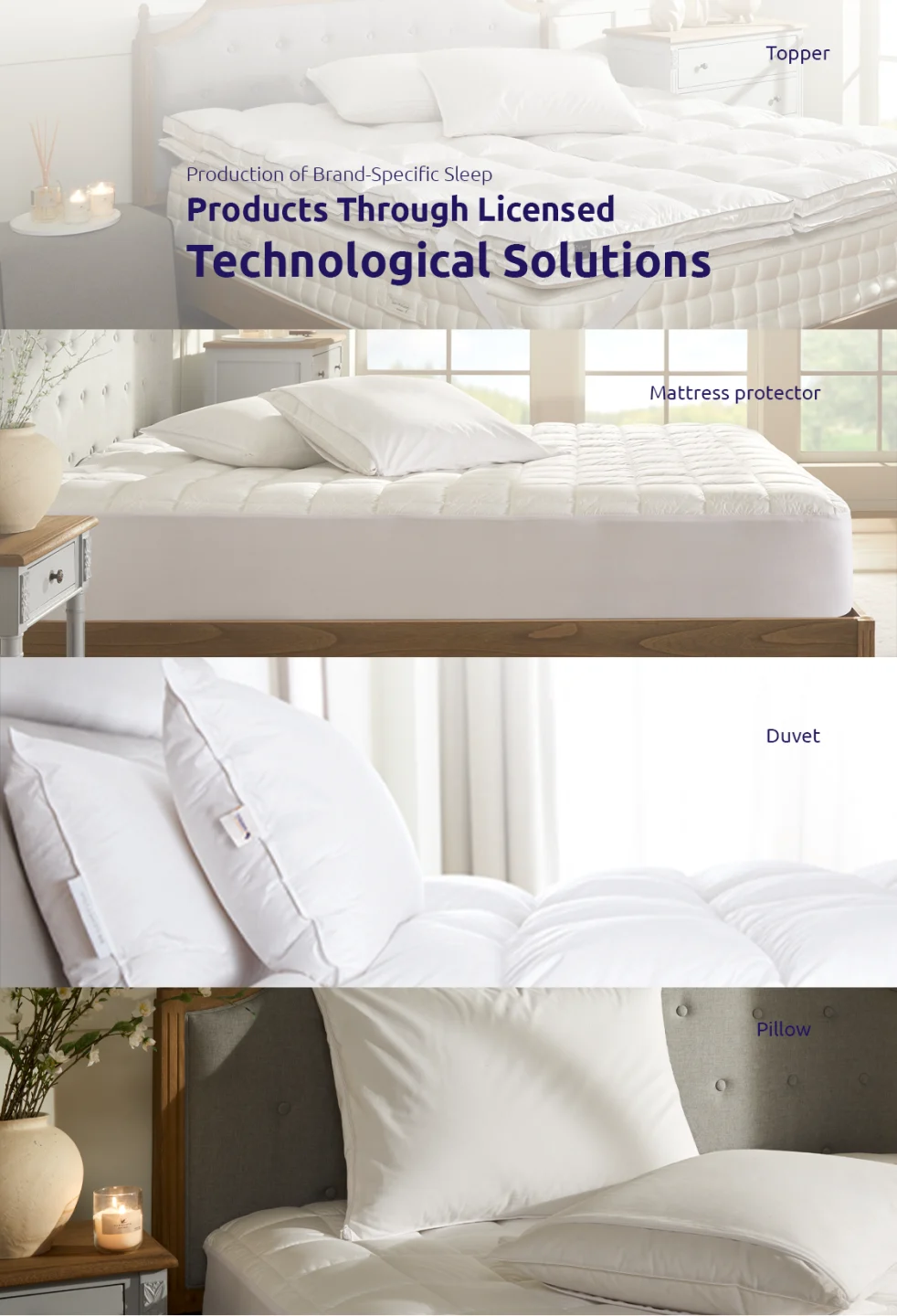 Our Products